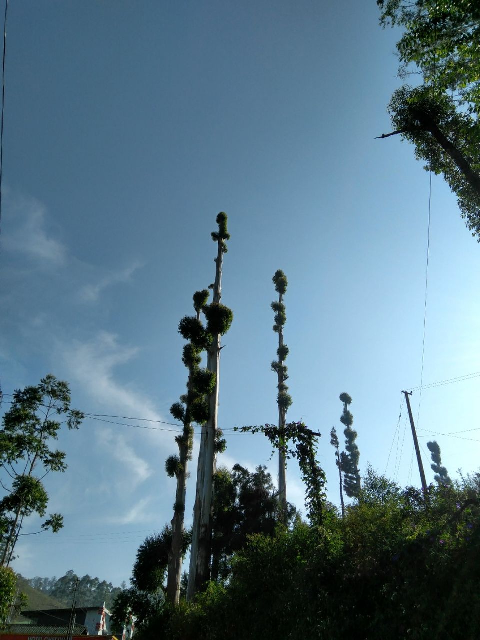 Photo of G O D S O W N C O U N T R Y by chandrakant jena
