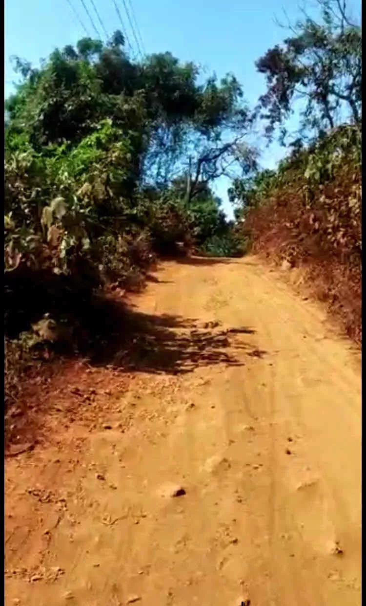 Photo of South Goa, Goa, India by Pooja Singh