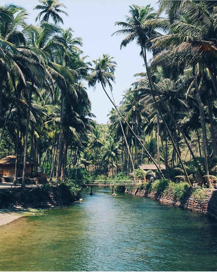 Photo of Cola Beach: A Hidden Gem That No One Will Tell You About in Goa by Pooja Singh