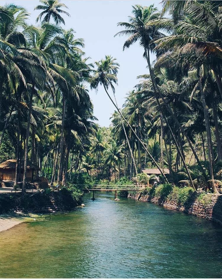Photo of Cola Beach: A Hidden Gem That No One Will Tell You About in Goa by Pooja Singh