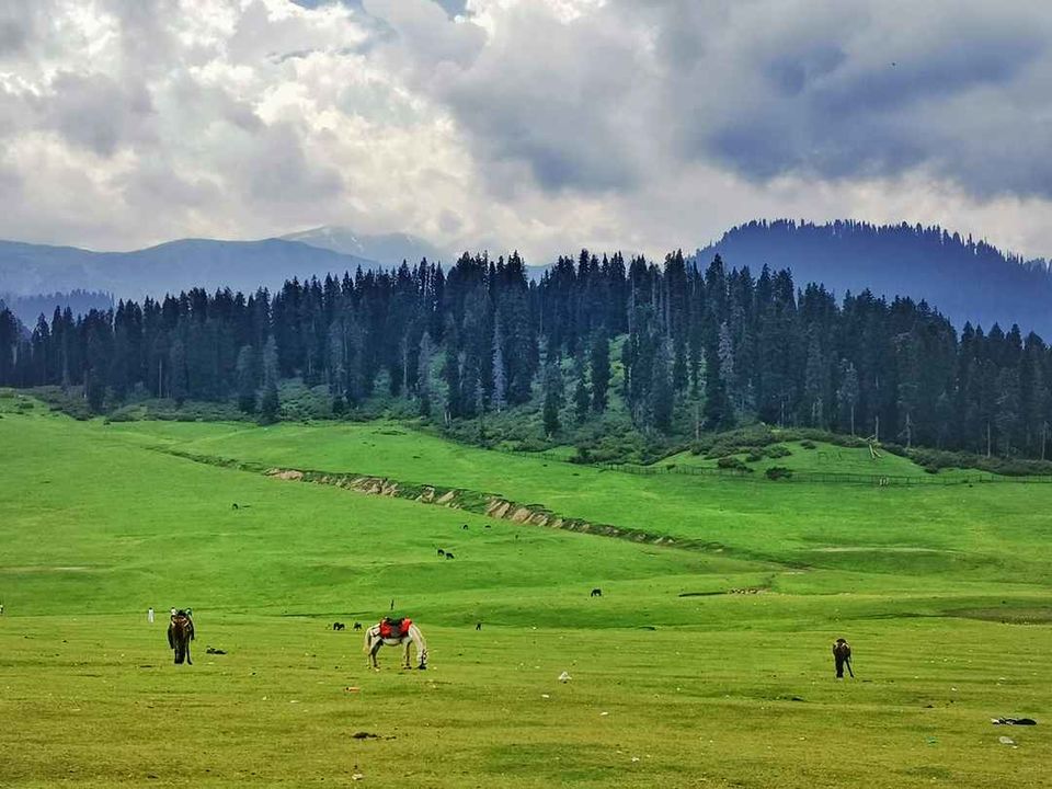 Photo of Ramban by S S (Saurabh Sabikhi)