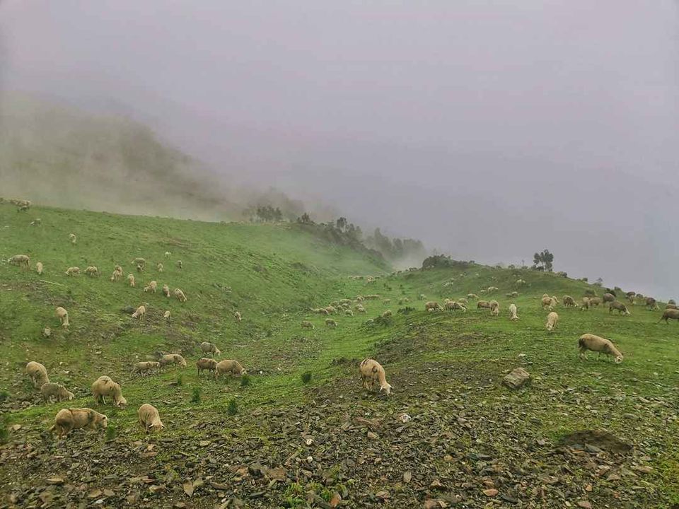 Photo of Pahalgam by S S (Saurabh Sabikhi)