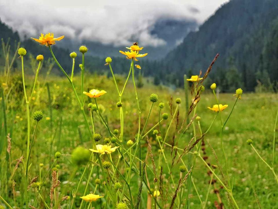 Photo of Kishtwar by S S (Saurabh Sabikhi)