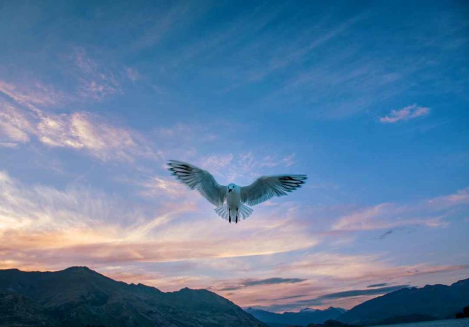 Photo of Wanaka, New Zealand by Neha Sudan