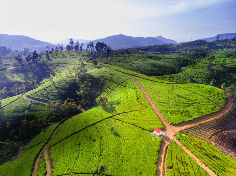 Photo of Here Are All the Reasons to Drop Everything and Fly to Sri Lanka This New Year's 4/6 by Shreya Sethuraman
