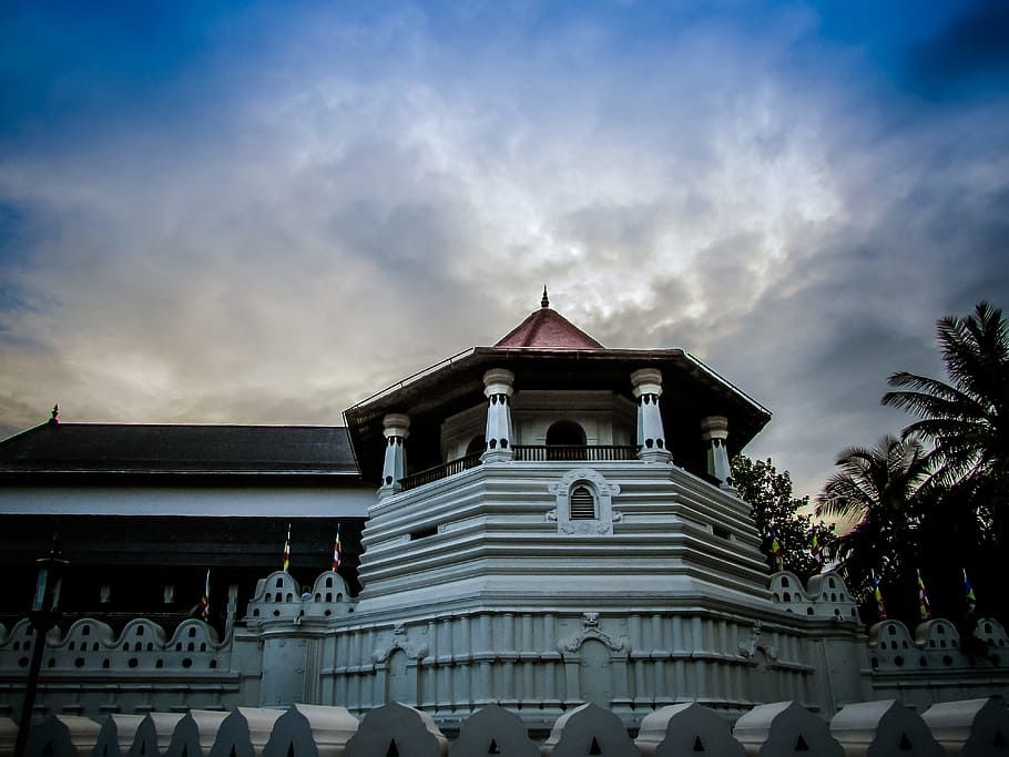 Photo of Here Are All the Reasons to Drop Everything and Fly to Sri Lanka This New Year's 5/6 by Shreya Sethuraman