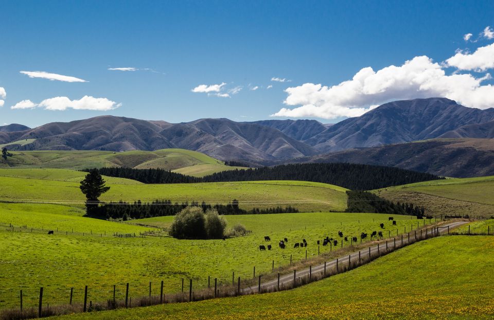 Photo of 5 Countries That Have Gone Completely Mask Free 3/5 by Tanisha Mundra