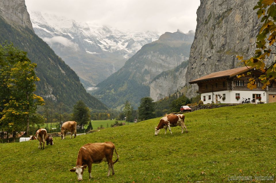 Photo of Lauterbrunnen Valley…. Rejuvenate Yourself !!! by ABHISHEK SANYAL
