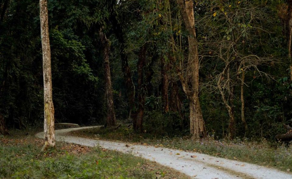 Photo of On trail of the One Horned Rhinoceros …. #wildlifeonearth by ABHISHEK SANYAL