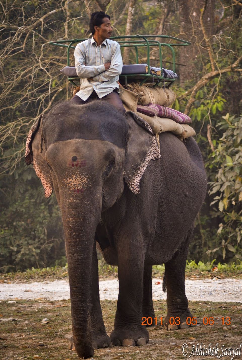 Photo of On trail of the One Horned Rhinoceros …. #wildlifeonearth by ABHISHEK SANYAL
