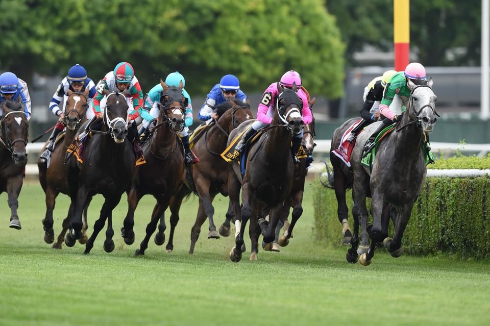Photo of Advantages of horse race betting 1/1 by Anita B Aycock