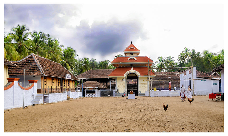 Photo of A 'Rooster Temple' In Kerala, India - Something Truly Unique 1/21 by Manoo J.