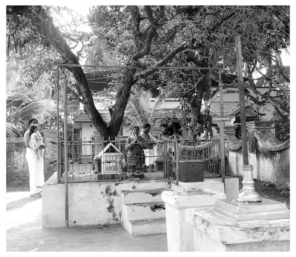 Photo of A 'Rooster Temple' In Kerala, India - Something Truly Unique 2/21 by Manoo J.