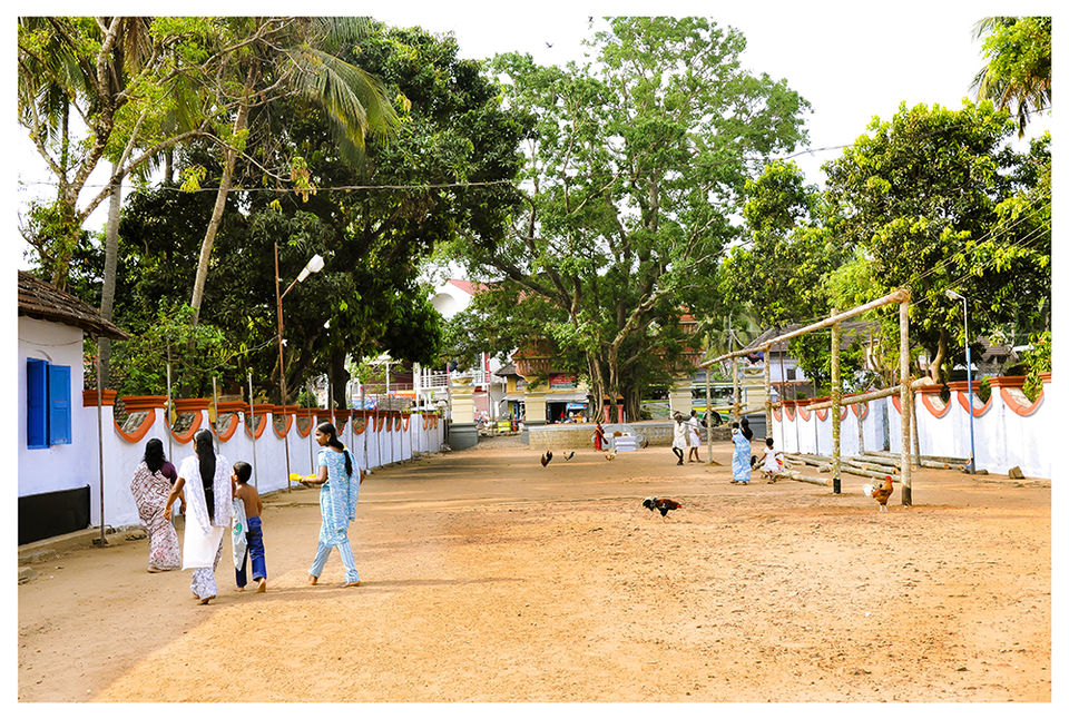Photo of A 'Rooster Temple' In Kerala, India - Something Truly Unique 3/21 by Manoo J.