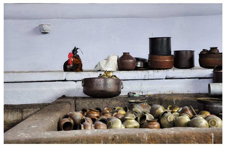 Photo of A 'Rooster Temple' In Kerala, India - Something Truly Unique 12/21 by Manoo J.
