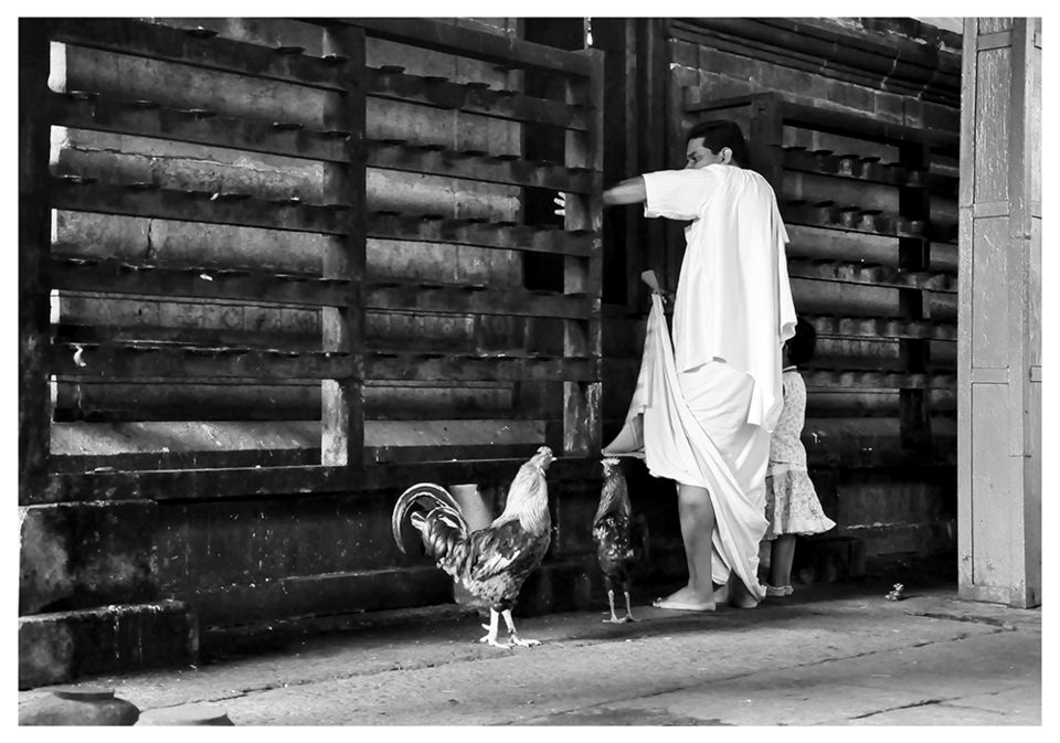 Photo of A 'Rooster Temple' In Kerala, India - Something Truly Unique 14/21 by Manoo J.