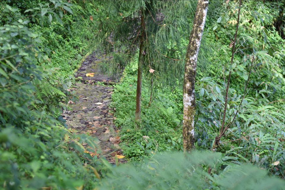 Photo of Nathang Valley, Sikkim, India by Amitabha Das