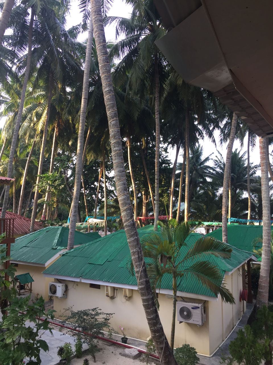 Photo of Andaman and Nicobar Islands by Nida Fatima