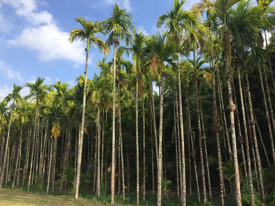 Photo of Andaman and Nicobar Islands by Nida Fatima