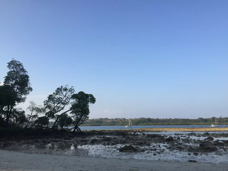 Photo of Andaman and Nicobar Islands by Nida Fatima