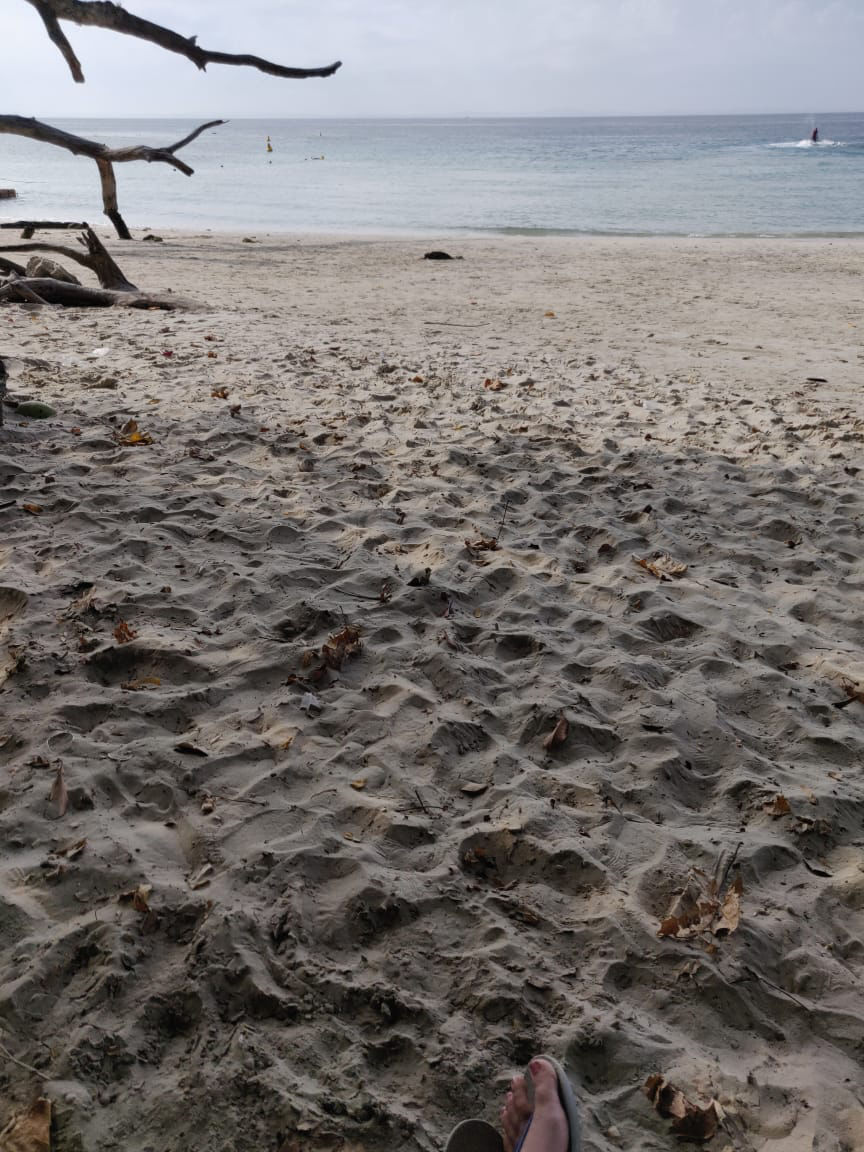 Photo of Adorable Andaman by Nida Fatima