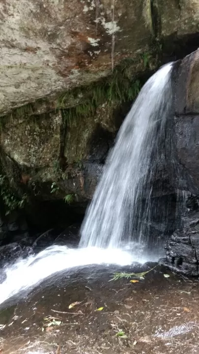 Photo of Dindigul by Lipsita Singh