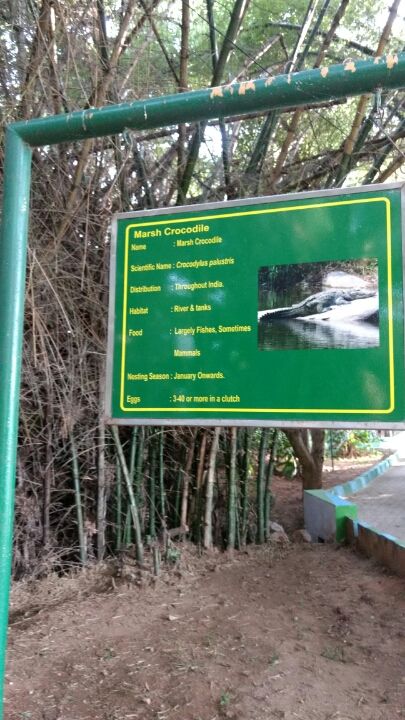 Photo of Balumuri, Yadathittu, Karnataka 571606, India by Lipsita Singh