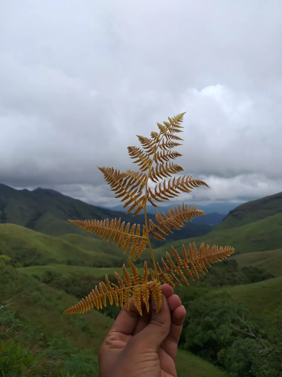 Photo of Kudremukh trek by Dhanraj Pattanashetti