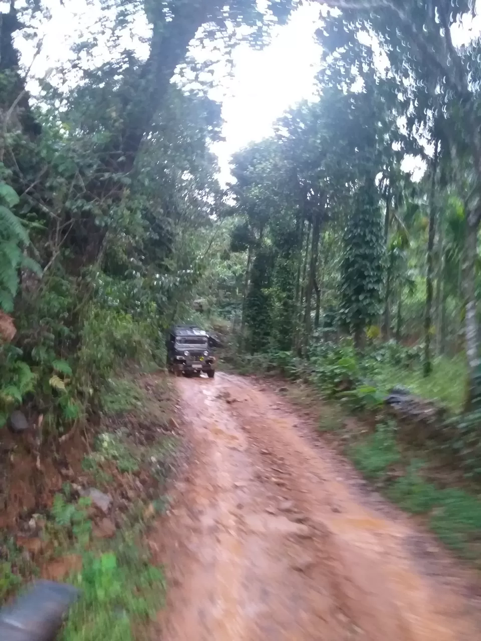 Photo of Kudremukh trek by Dhanraj Pattanashetti