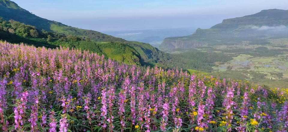 Photo of Ratangad Fort, Maharashtra, India by Siddiculous