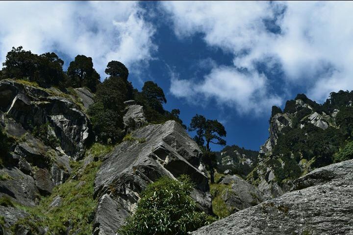Photo of Triund, Kangra, Himachal Pradesh, India by Priyanka Shukla