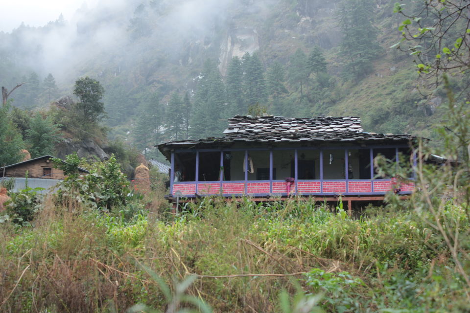 Photo of Chhalal, Kasol, Himachal Pradesh, Indiah by koyna