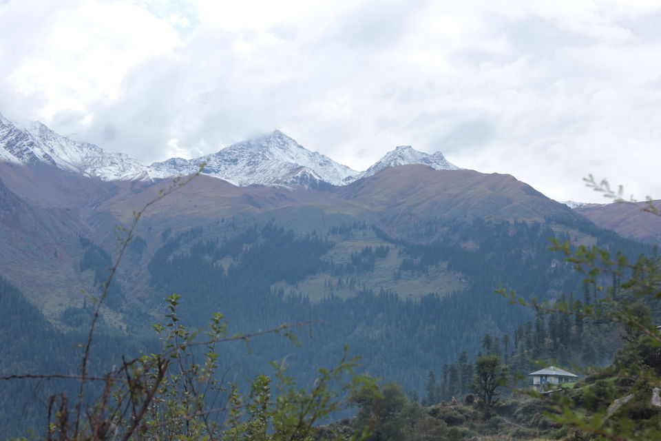 Photo of Tosh Village, Kullu, Himachal Pradesh, India by koyna