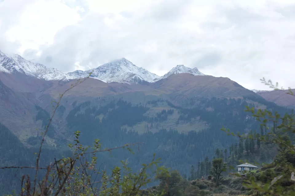 Photo of Tosh Village, Kullu, Himachal Pradesh, India by koyna