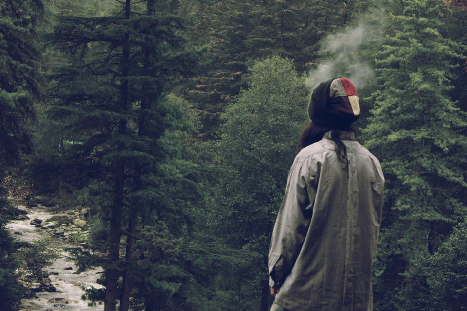Photo of A Short Getaway to Parvati Valley, Himachal 2/8 by koyna