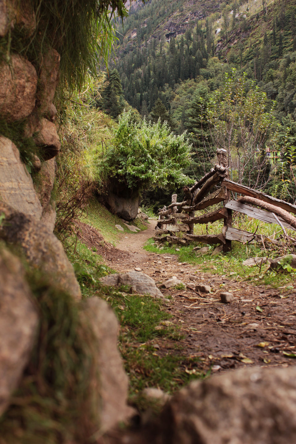 Photo of A Short Getaway to Parvati Valley, Himachal 4/8 by koyna