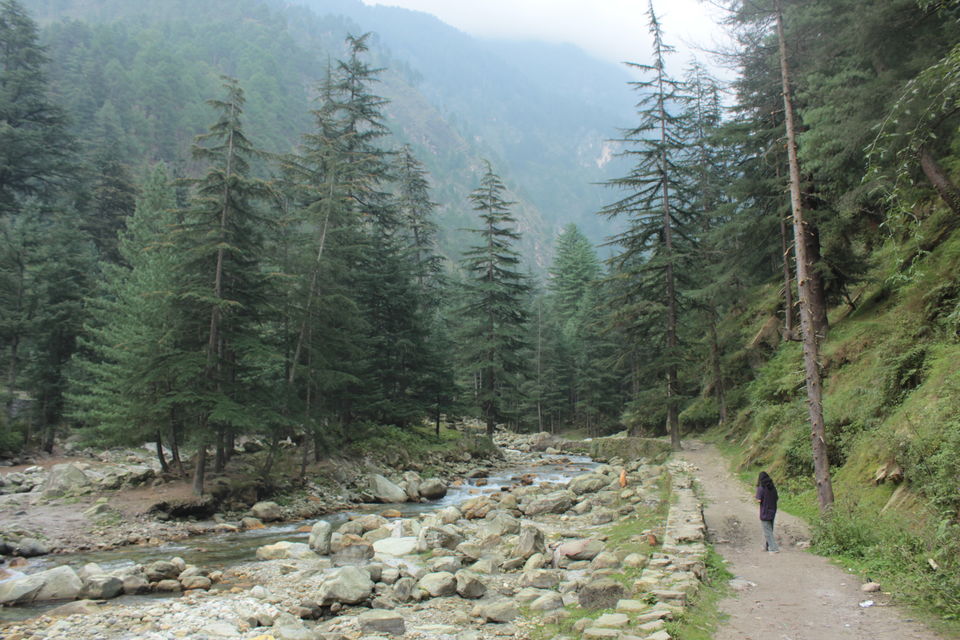 Photo of A Short Getaway to Parvati Valley, Himachal 8/8 by koyna