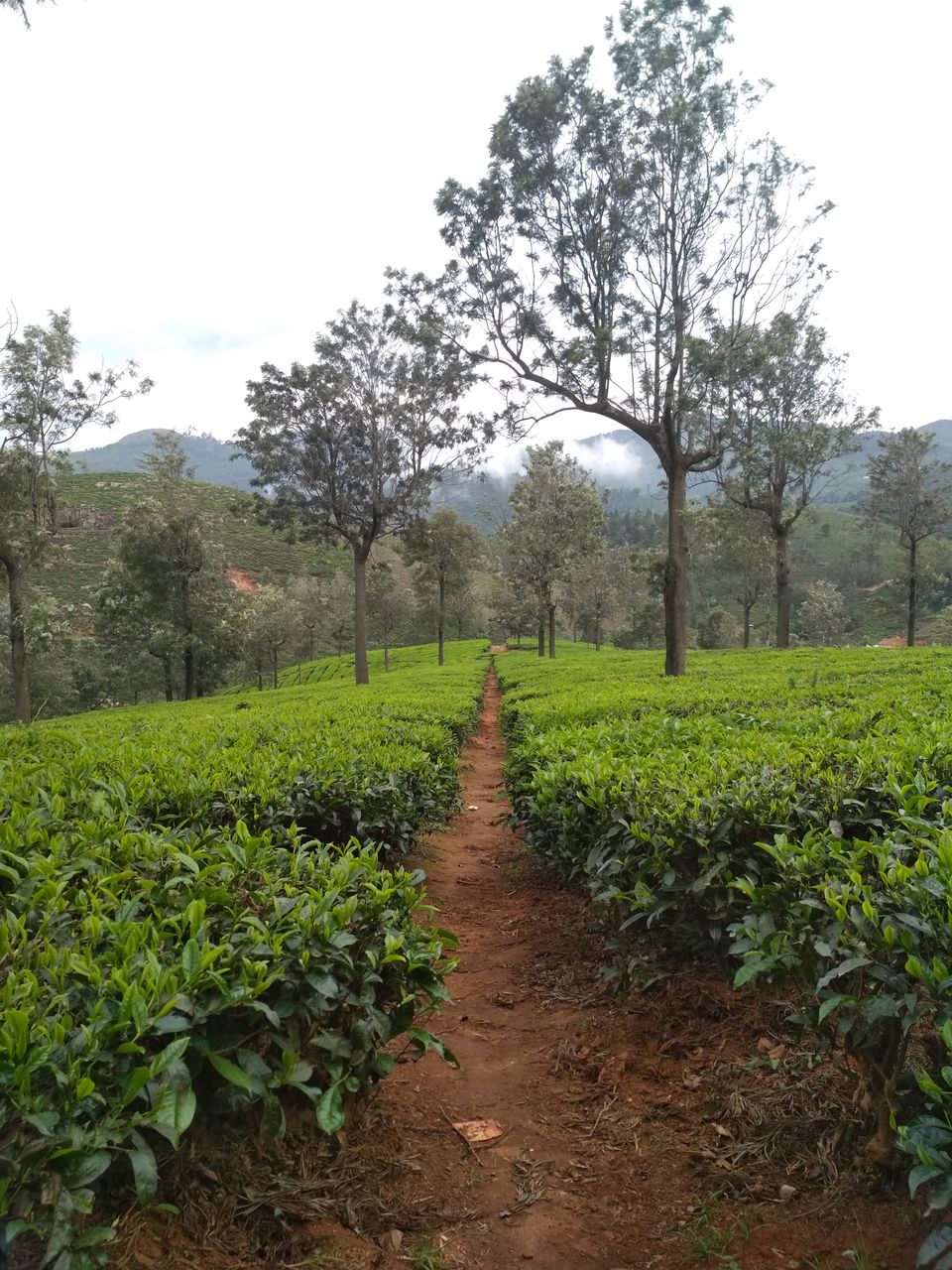 Photo of Coonoor-A Nilgiri gem by athulya Vinoob