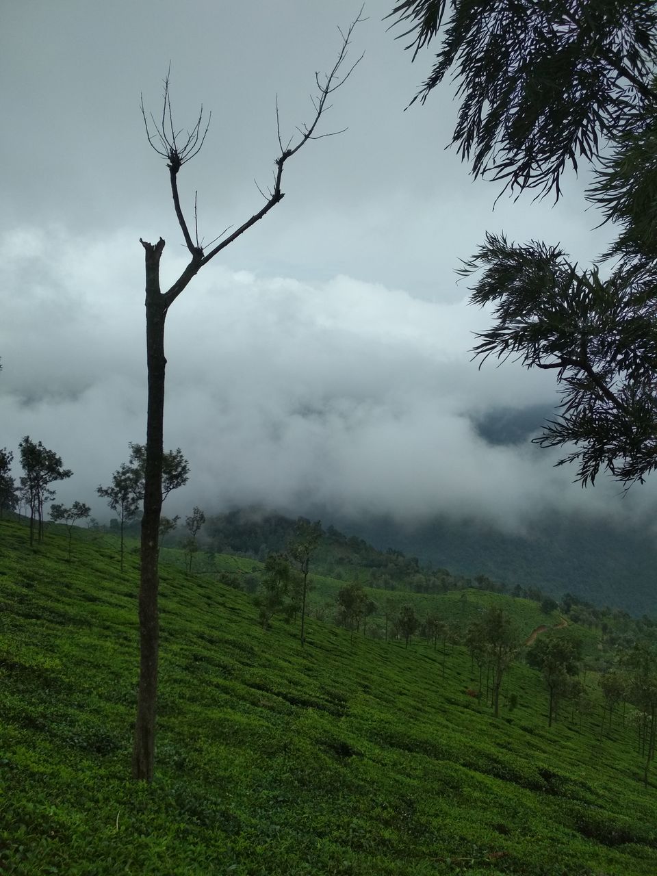 Photo of Coonoor, Tamil Nadu, India by athulya Vinoob