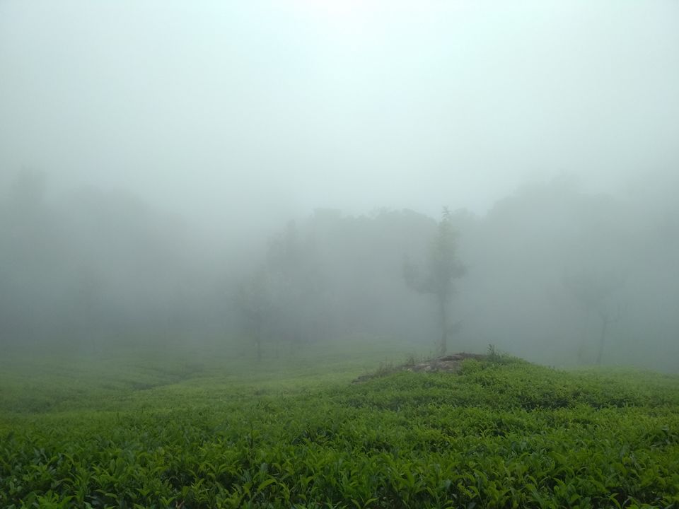 Photo of Coonoor, Tamil Nadu, India by athulya Vinoob