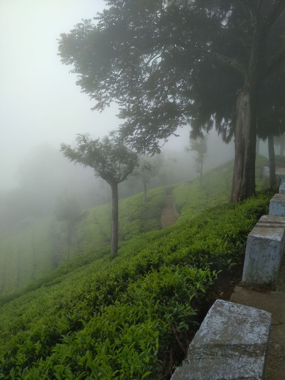 Photo of Coonoor, Tamil Nadu, India by athulya Vinoob