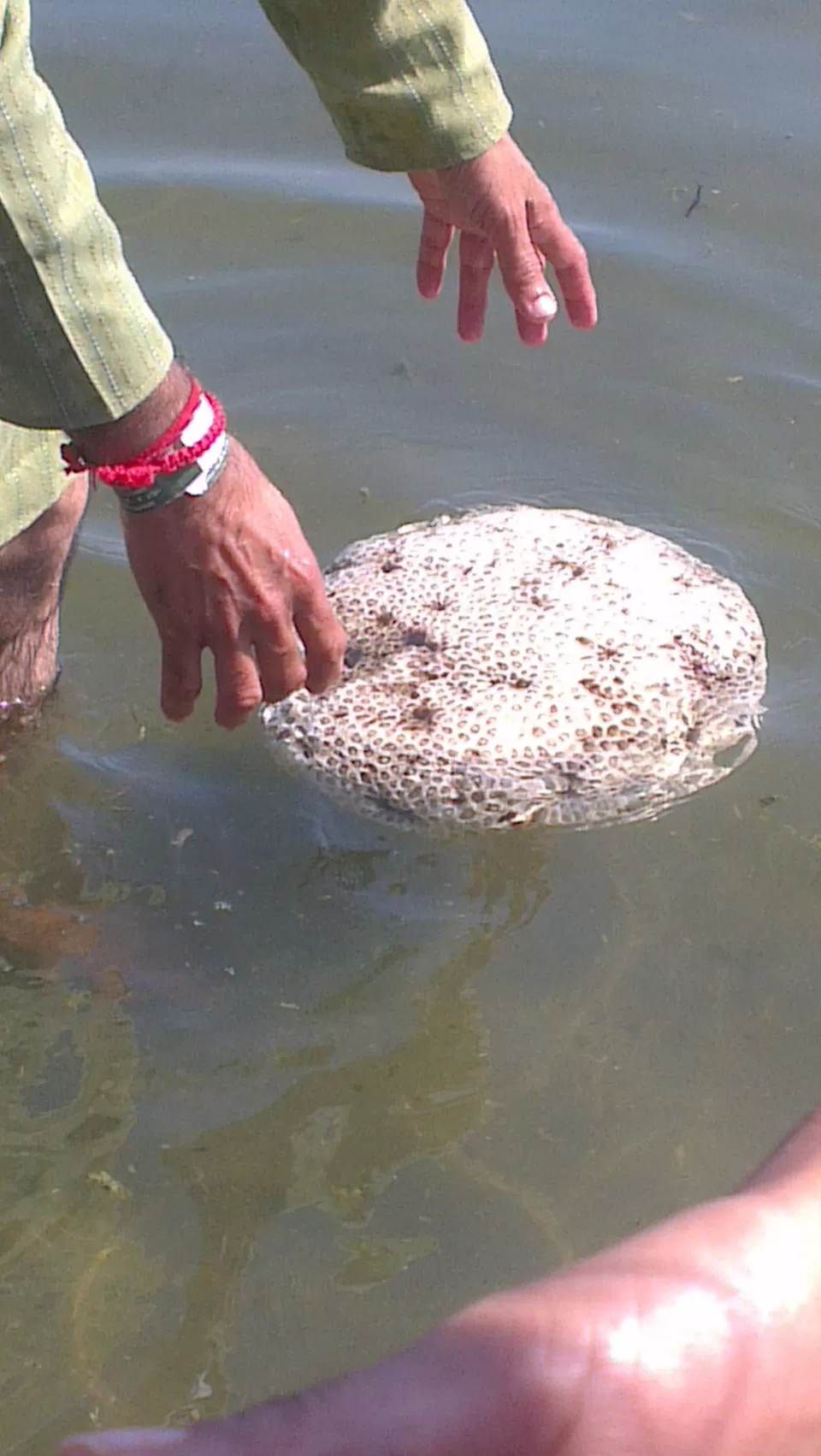 Photo of Ram Setu, Rameswaram-Dhanushkodi Road, Rameswaram, Tamil Nadu, India by Anshul Ghiloria