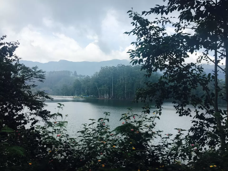 Photo of Munnar, Kerala, India by Anshul Ghiloria