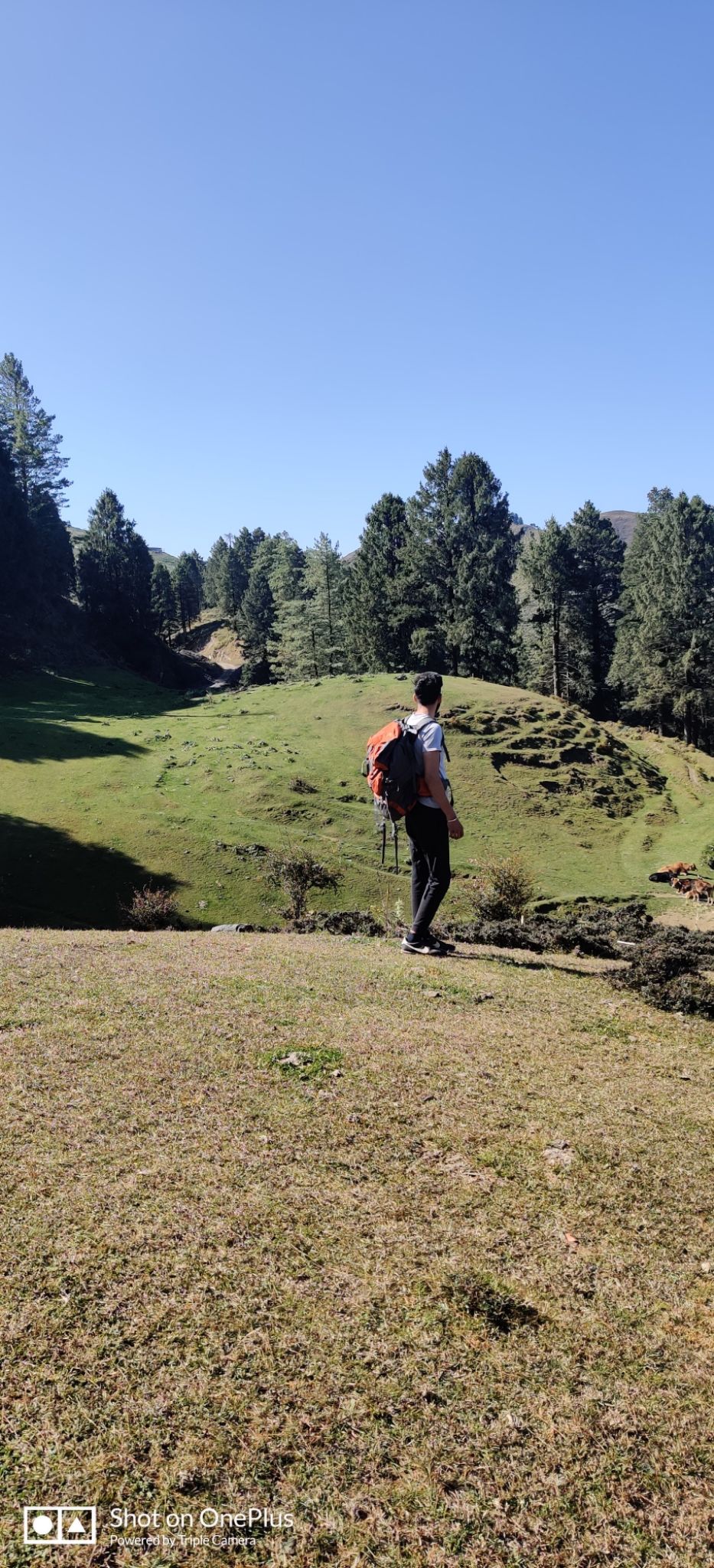 Photo of Parashar Lake- A Paradise Feel #BucketList2019 by Mr.Grv