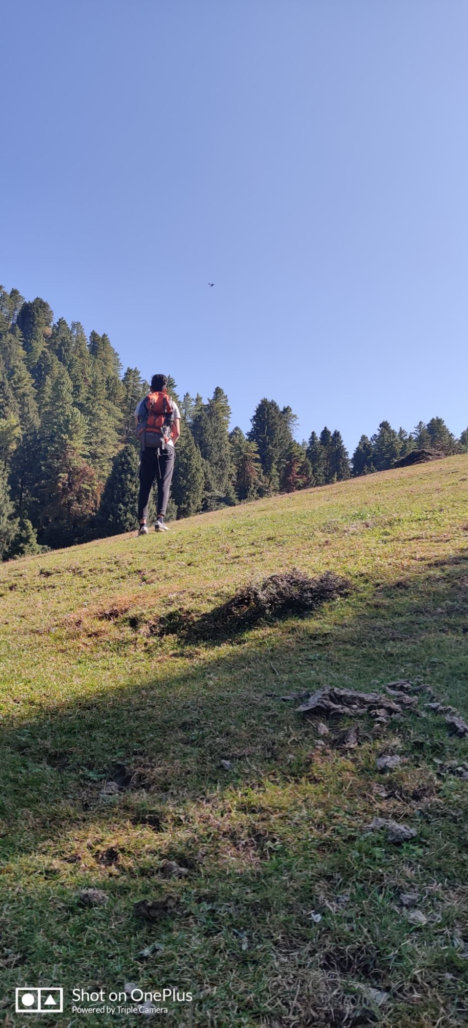 Photo of Parashar Lake- A Paradise Feel #BucketList2019 by Mr.Grv