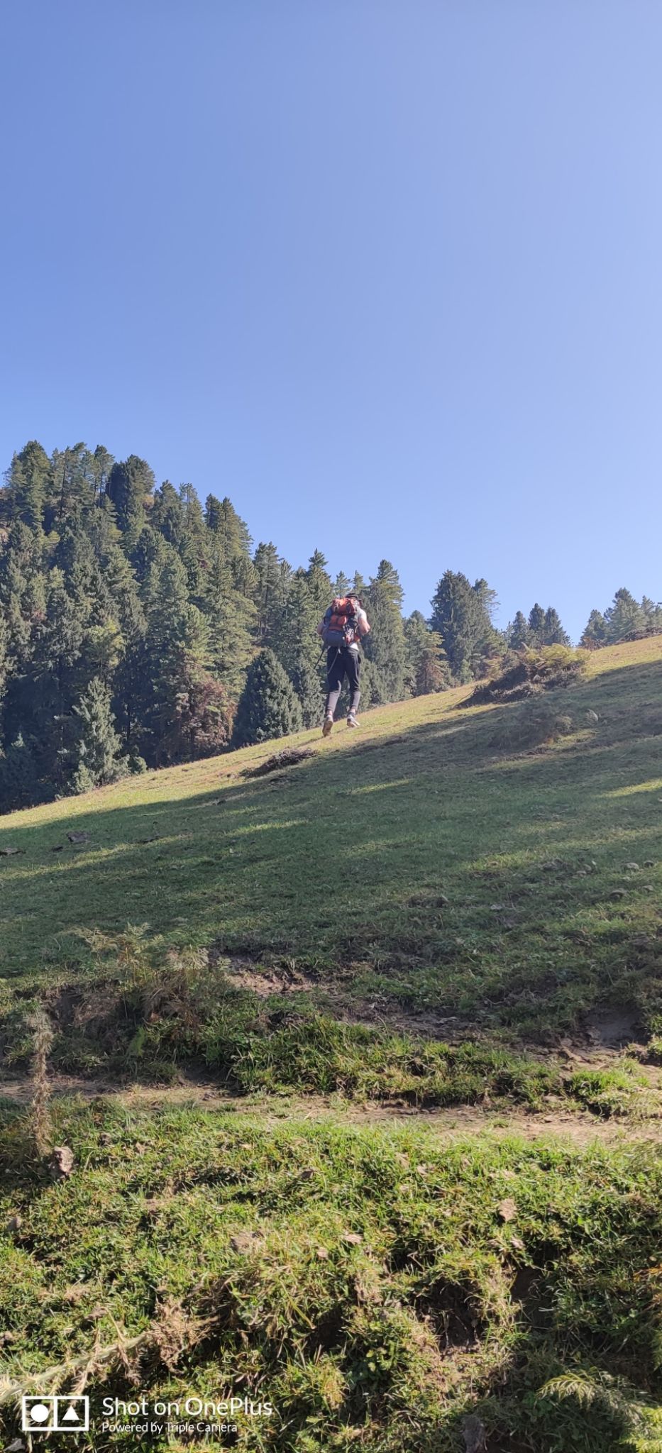 Photo of Parashar Lake- A Paradise Feel #BucketList2019 by Mr.Grv