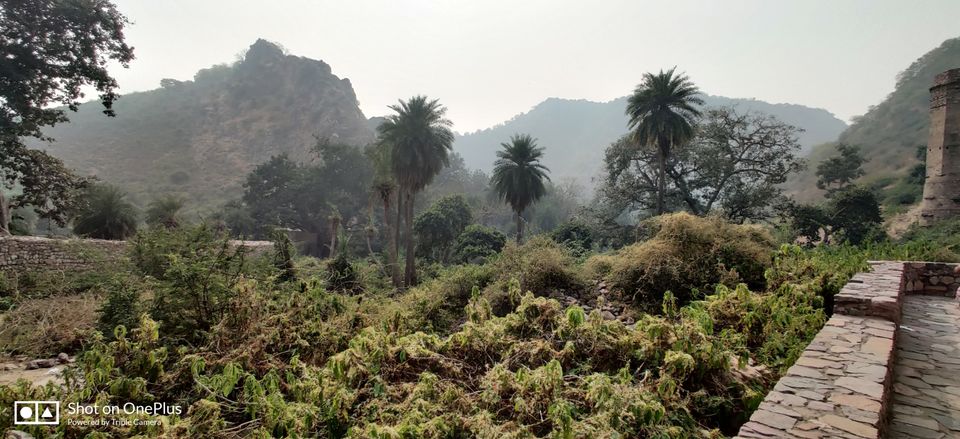 Photo of Bhangarh and Sariska- The Perfect Duo by Mr.Grv