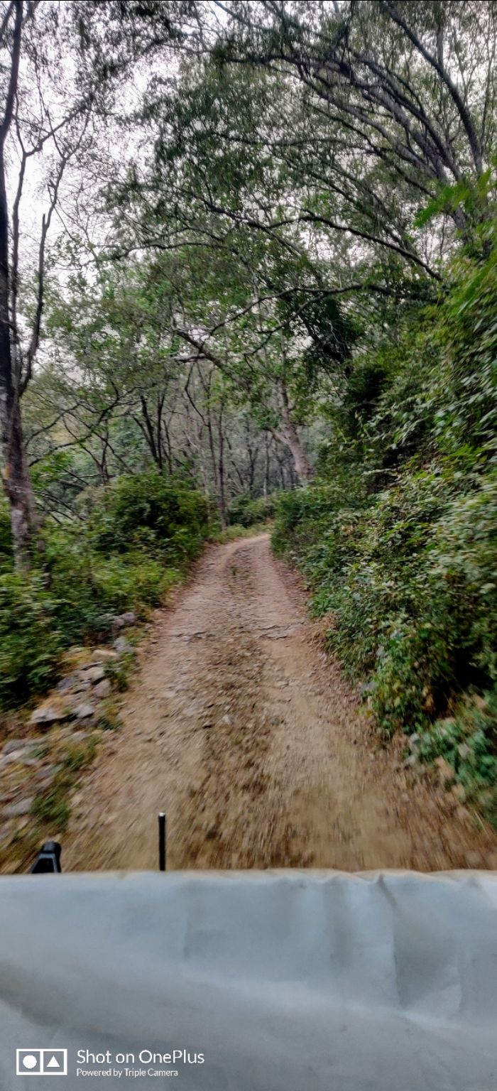 Photo of Sariska National Park, Alwar, Rajasthan, India by Mr.Grv