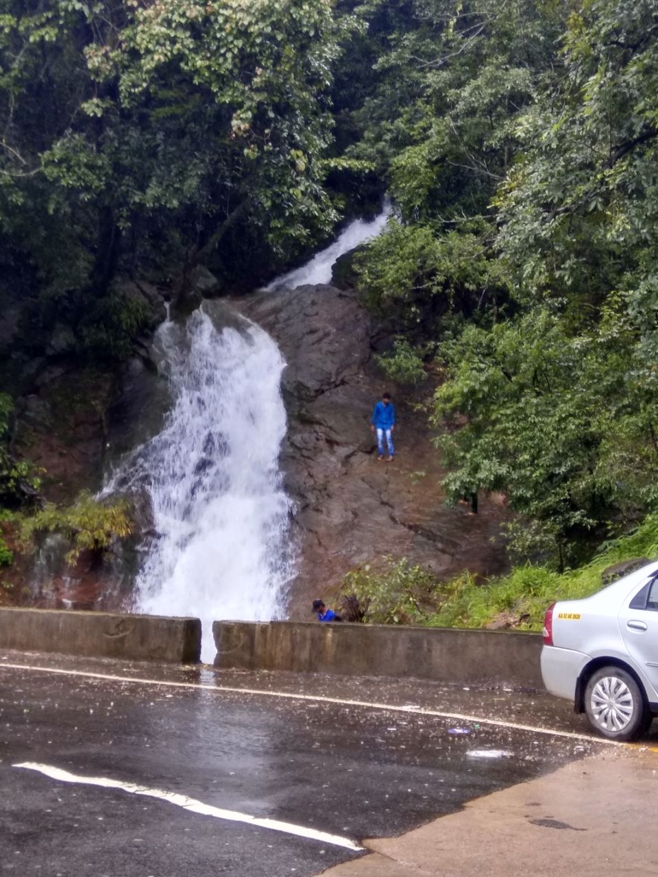 Photo of Dam those torpidos,full green ahead by Naveen Kumar