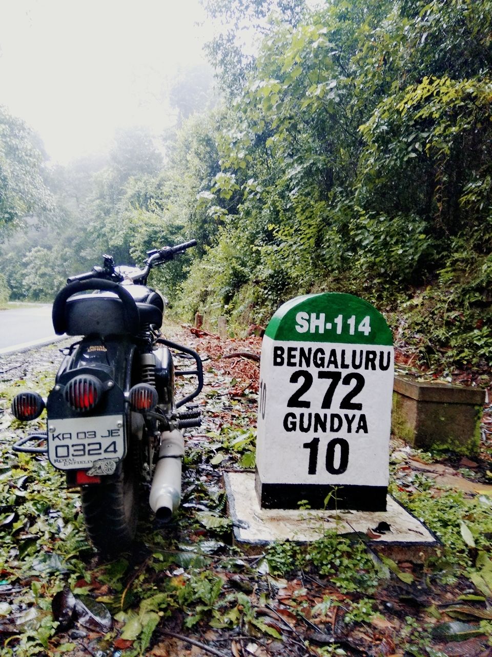 Photo of Dam those torpidos,full green ahead by Naveen Kumar